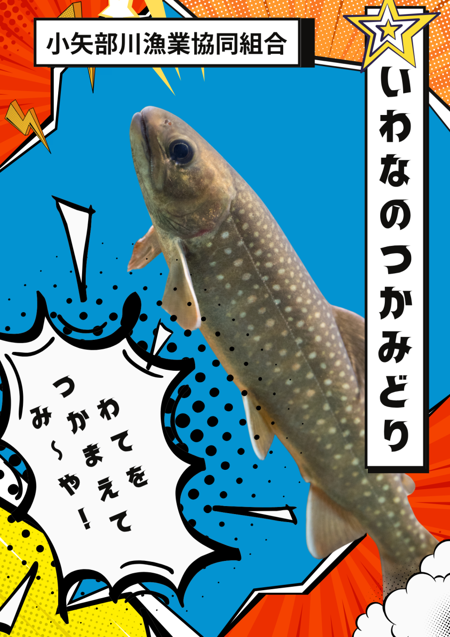 リバー2026 (12)