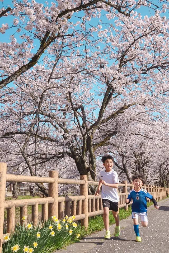 佳作　いずみさん